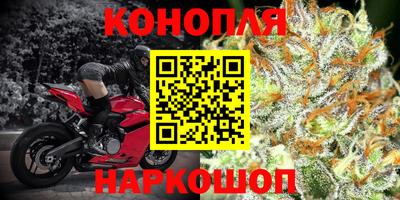 тгк Кингисепп
