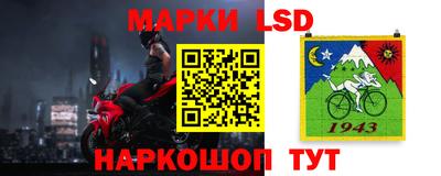 тгк Кингисепп