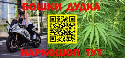тгк Кингисепп