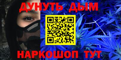 тгк Кингисепп