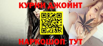 тгк Кингисепп