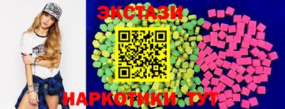 тгк Кингисепп