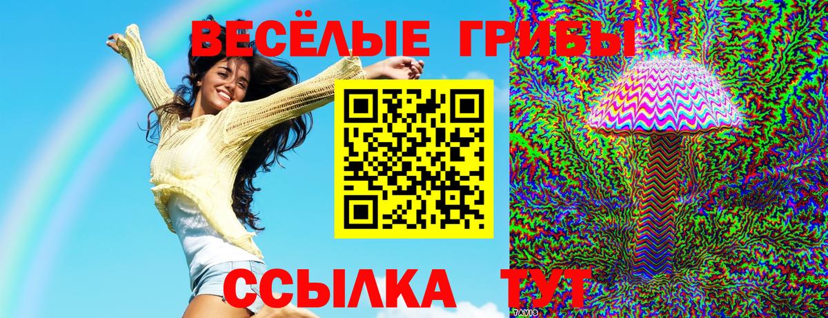 Псилоцибиновые грибы мицелий Минусинск