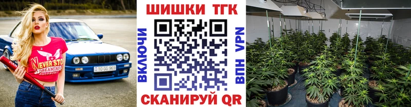 цены   Минусинск  Канабис MAZAR 